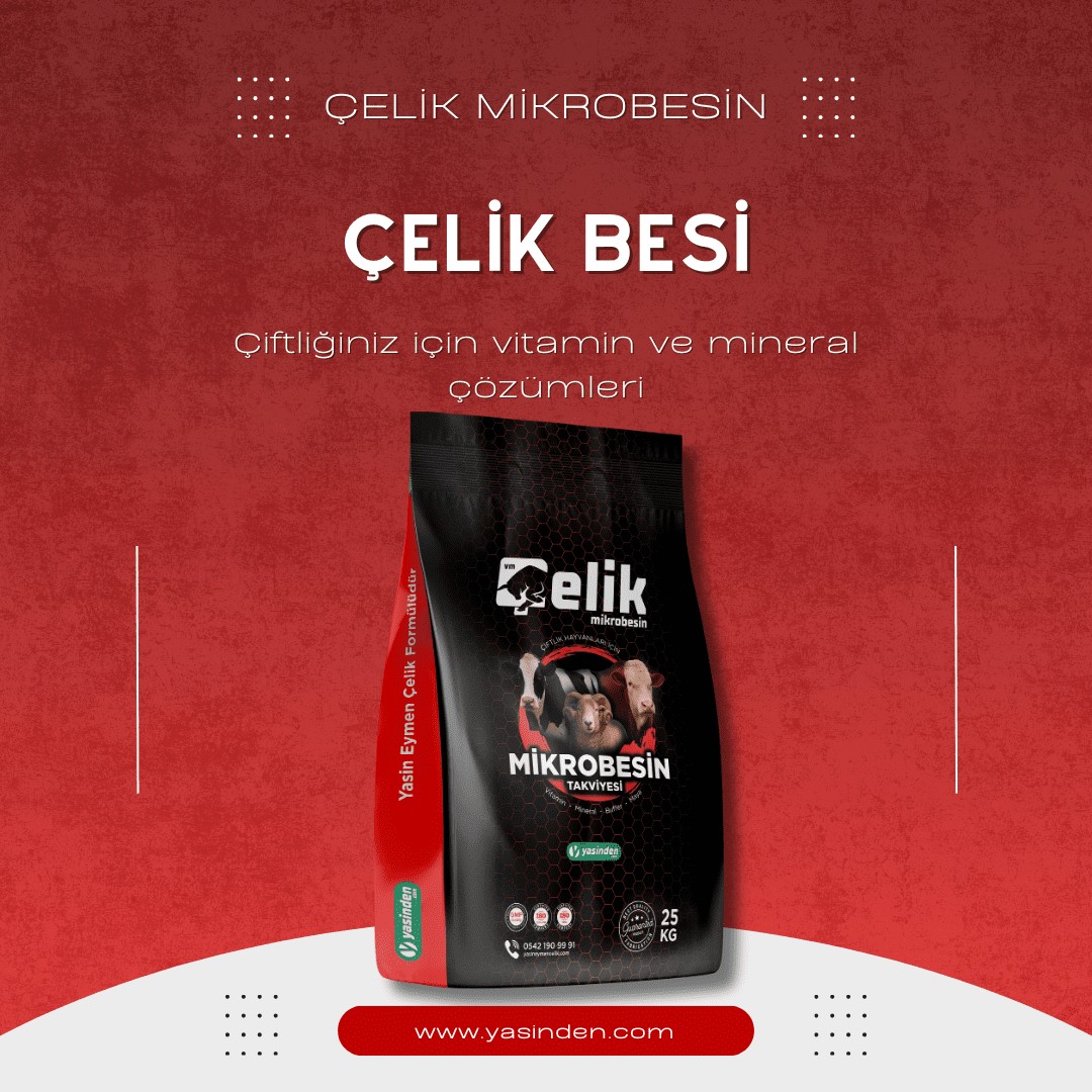 Çelik Besi, besi hayvanlarında canlı ağırlık artışını destekleyen yem katkısı