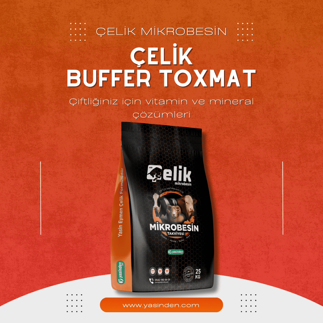 Çelik Buffer Toxmat ile asidoz, gazlı şişlik, topallığa son!