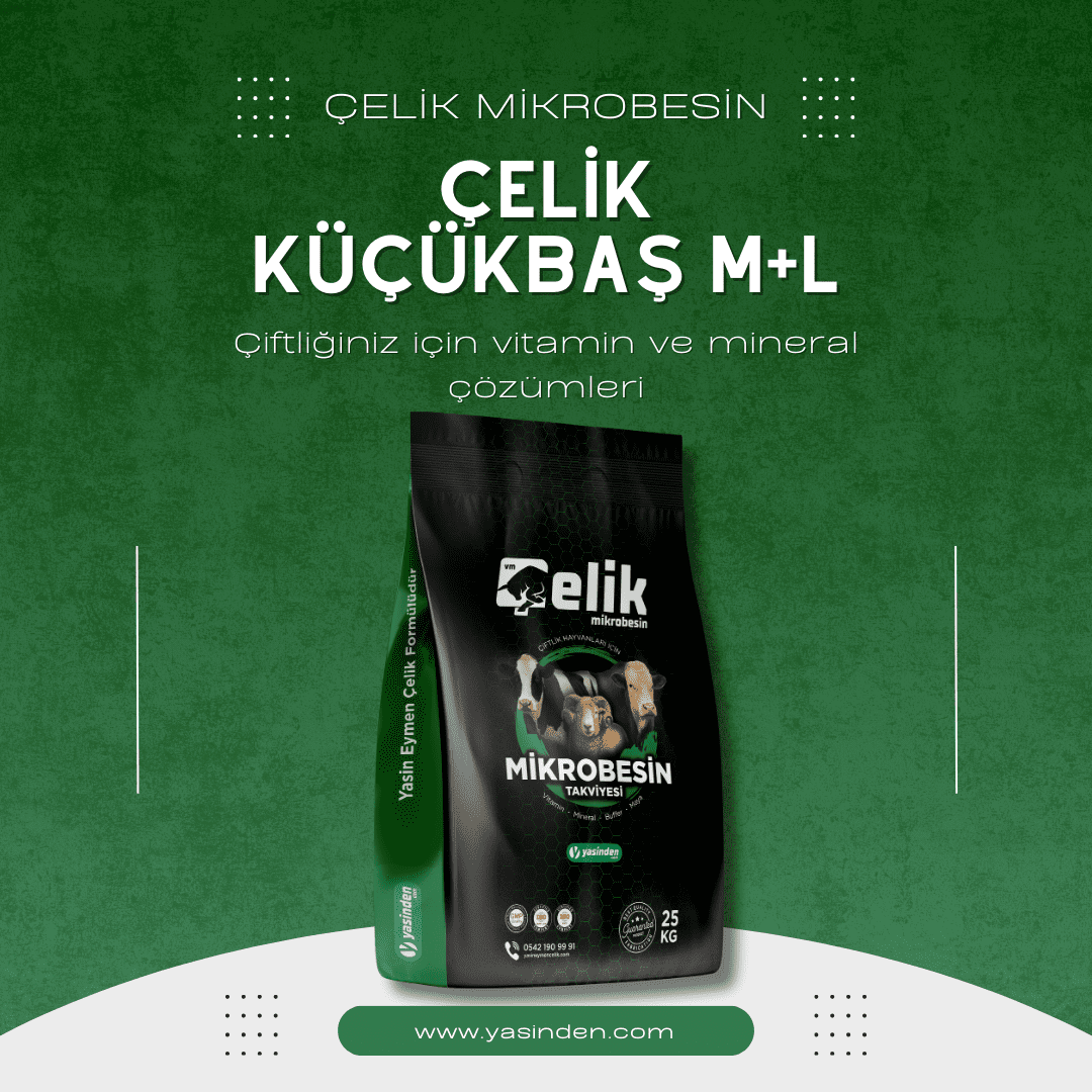 Çelik Küçükbaş M+L, koyun ve keçilerde verim ve üreme desteği sağlayan yem katkısı