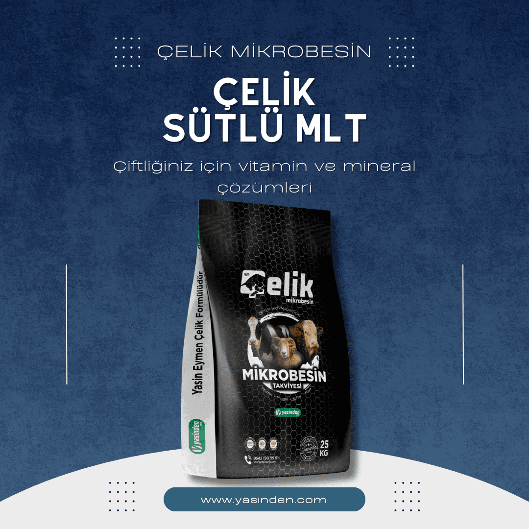 Çelik Sütlü MLT, ineklerde süt verimi ve üreme döngüsünü destekleyen yem katkısı