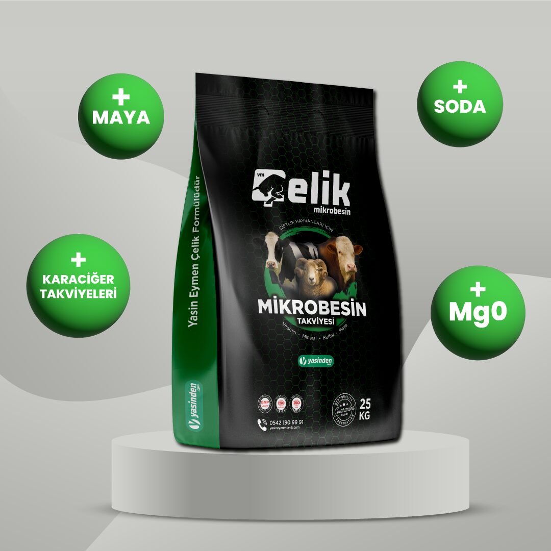 Çelik Küçükbaş M+L