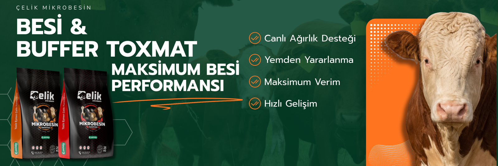 Çelik Besi ve Buffer Toxmat ile maksimum besi performansı
