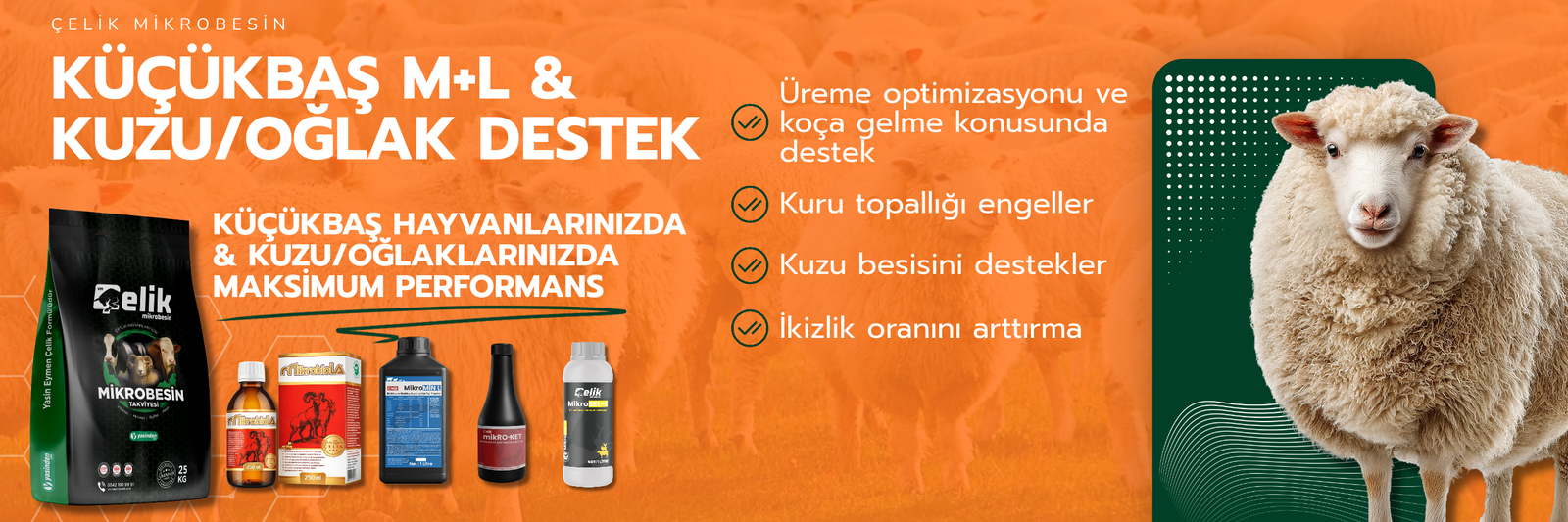 Çelik Küçükbaş M+L ile kuzu ve oğlak desteği