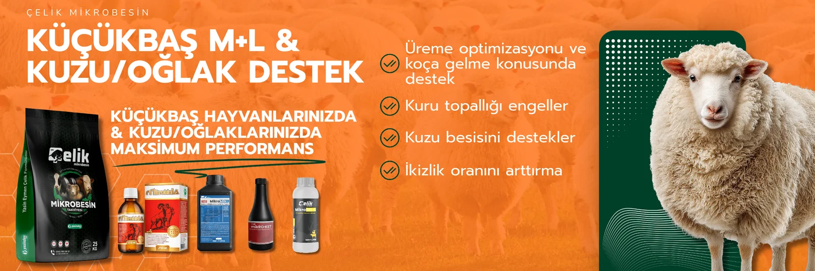 Çelik Küçükbaş M+L ile kuzu ve oğlak desteği